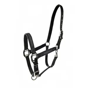 Halter for horse Lami-Cell Sparkling image-1