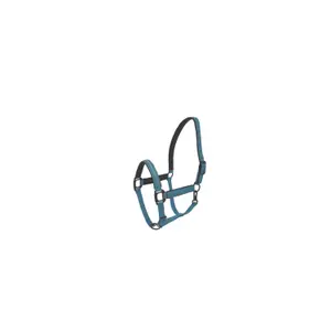 product-sibling
