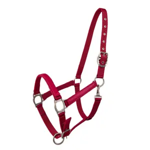 Halter for horse Lami-Cell LC image-0