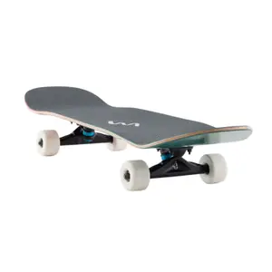 Skateboard Landyachtz ATV-X Perfecto Raccoon image-3