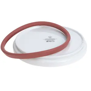 Porcelain and silicone plate for children Lässig Garden Explorer image-2