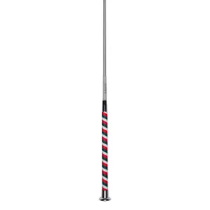 Frustino cavallo Lauria Garrelli Livigno image-0