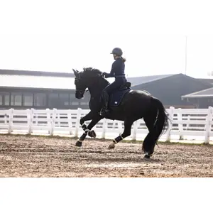 Pantalón de equitación Full Grip Lauria Garrelli Arezzo image-3