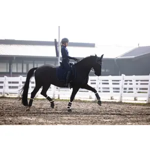 Pantalón de equitación Full Grip Lauria Garrelli Arezzo image-4