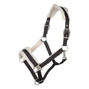 Bont halster voor paard Lauria Garrelli Arezzo image-0