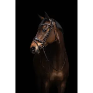 Bridon senza morso per cavallo anatomico Lauria Garrelli Arezzo image-3