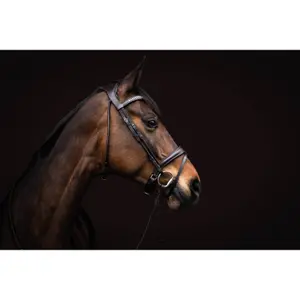 Bridon senza morso per cavallo anatomico Lauria Garrelli Arezzo image-4
