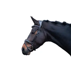 Bridon senza morso per cavallo anatomico Lauria Garrelli Arezzo image-1