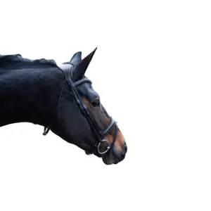 Bridon senza morso per cavallo anatomico Lauria Garrelli Arezzo image-2