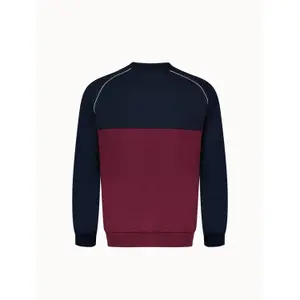Sweatshirt Le Coq Sportif Tri image-2