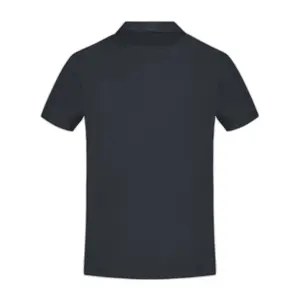 Polo n°2 Le Coq Sportif D'OR image-1