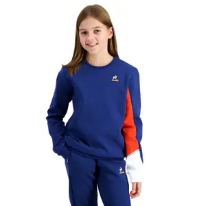 Sudadera con capucha cuello redondo niño Le Coq Sportif Saison N°1 image-3