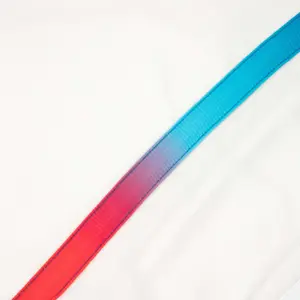 Polo Le Coq Sportif Efro 24 N° 2 image-1