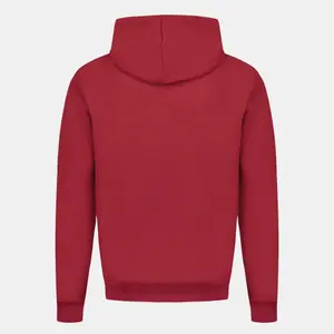 Hoodie Le Coq Sportif Tri SP N°1 image-3