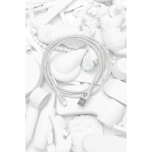 Câble Lightning/USB-A Le Cord