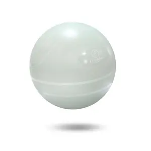 Pilates ball Leader Fit image-0