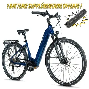 Elektrofahrrad Leader Fox Saga