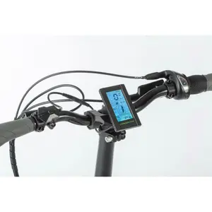 Elektrofahrrad Leader Fox Harlan 2021 20" image-3