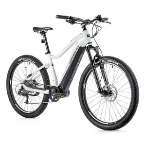 Electric bike Leader Fox Swan 2023 image-0