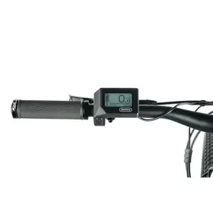 Electric bike Leader Fox Swan 2023 image-1