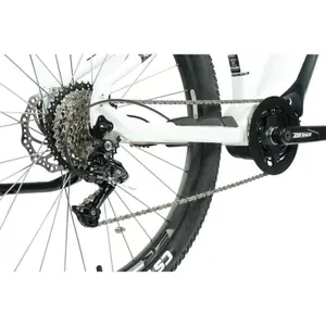 Electric bike Leader Fox Swan 2023 image-2