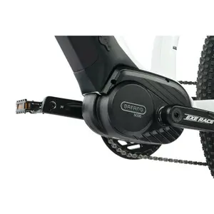 Electric bike Leader Fox Swan 2023 image-3