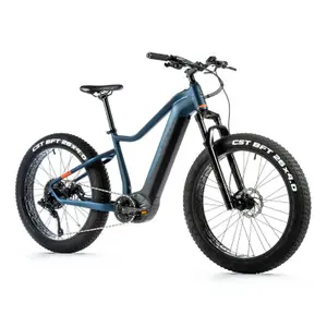 Electric bike Leader Fox Brasa 2024 image-0