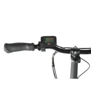 Children's electric bike Leader Fox Fat Bike 20 Cody 2024 image-1