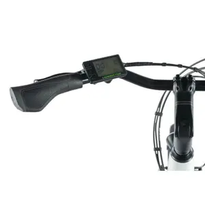 Electric bike Leader Fox City Park 2024 image-1