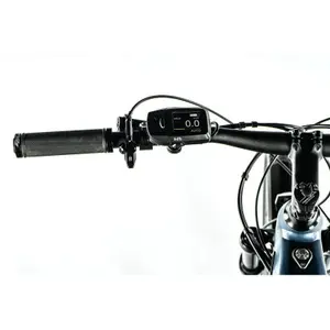 Electric bike Leader Fox Axen 2023 image-1