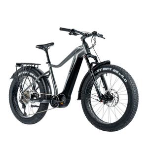 209486-electric-bike-leader-fox-brasa-2024-grey