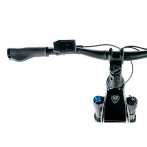 Electric bike Leader Fox Arimo 2024 image-2