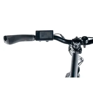 Children's electric bike Leader Fox Fat Bike 20 Cody 2024 image-2