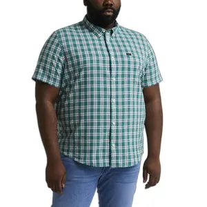 Chemise Lee Button Down image-1