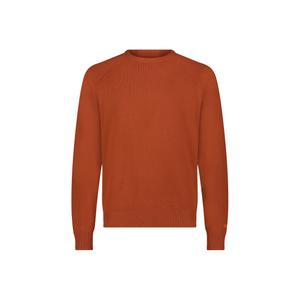 Raglanpullover Lee Clean