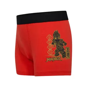Children's boxer shorts Lego Ninjago Lwaiko 202 (x3) image-1