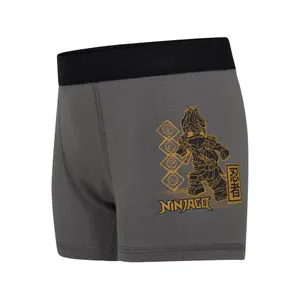 Children's boxer shorts Lego Ninjago Lwaiko 202 (x3) image-2