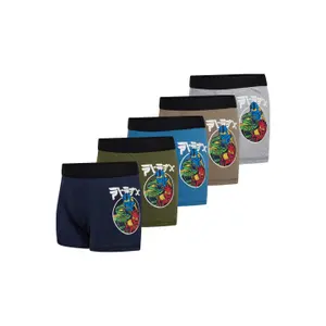 Children's boxer shorts Lego Aiko 603 (x5) image-1