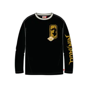 Long Sleeve T-Shirt Child Lego Taj 709 image-0