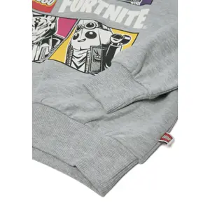 Child hoodie Lego Sian 700 image-5