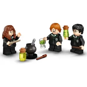 The polynectar potion mistake harry potter Lego image-1