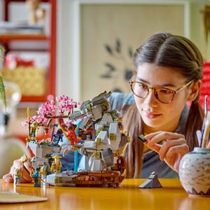 Jeux de construction sanctuaire roch dragon ninjago Lego image-1