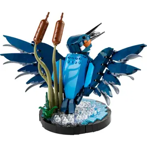Kingfisher building blocks Lego image-0