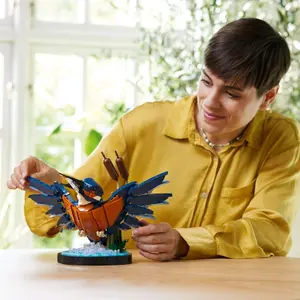 Kingfisher building blocks Lego image-3