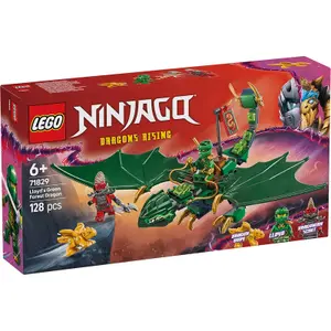 Jeux de construction dragon vert foret ninjago Lego image-0