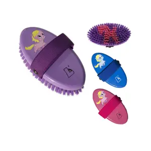 ag00306-finishburste-leistner-violett-tu