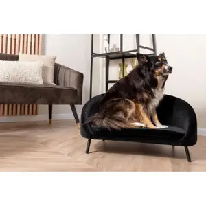 Fluwelen sofa voor huisdieren Leitmotiv Venue image-3