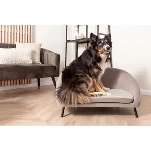 Aksamitna sofa dla zwierząt Leitmotiv Venue image-2