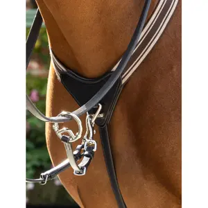 Κολάρο κυνηγιού για άλογο LeMieux Arika Elasticated Breastplate image-1
