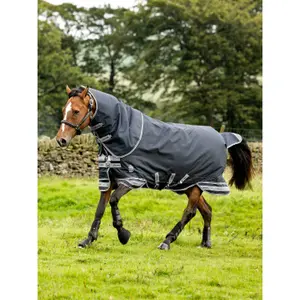 Outdoor  Blanket LeMieux Arika Storm-Tek 350g image-1